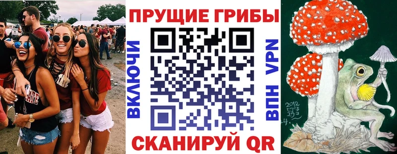 Галлюциногенные грибы Psilocybe Купить закладки Зеленогорск